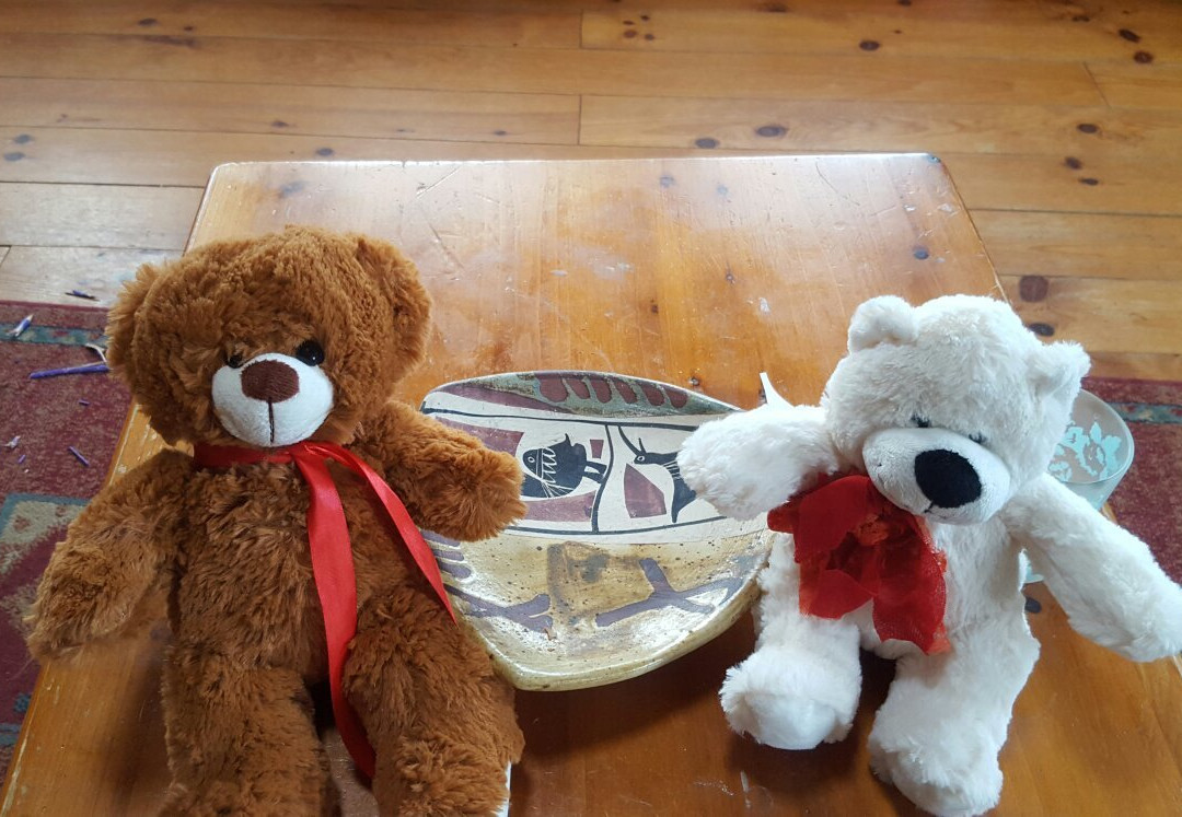 Bear Essentials/Silver Bear Centre景点图片