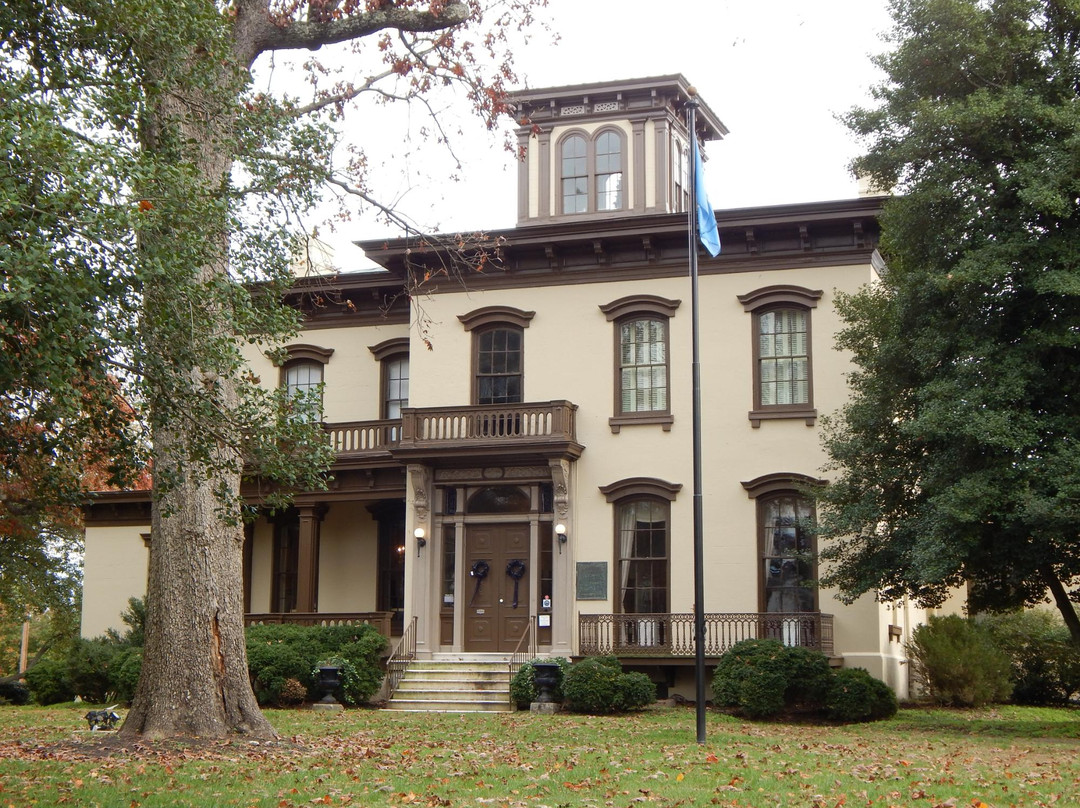 Danville Museum of Fine Arts & History景点图片