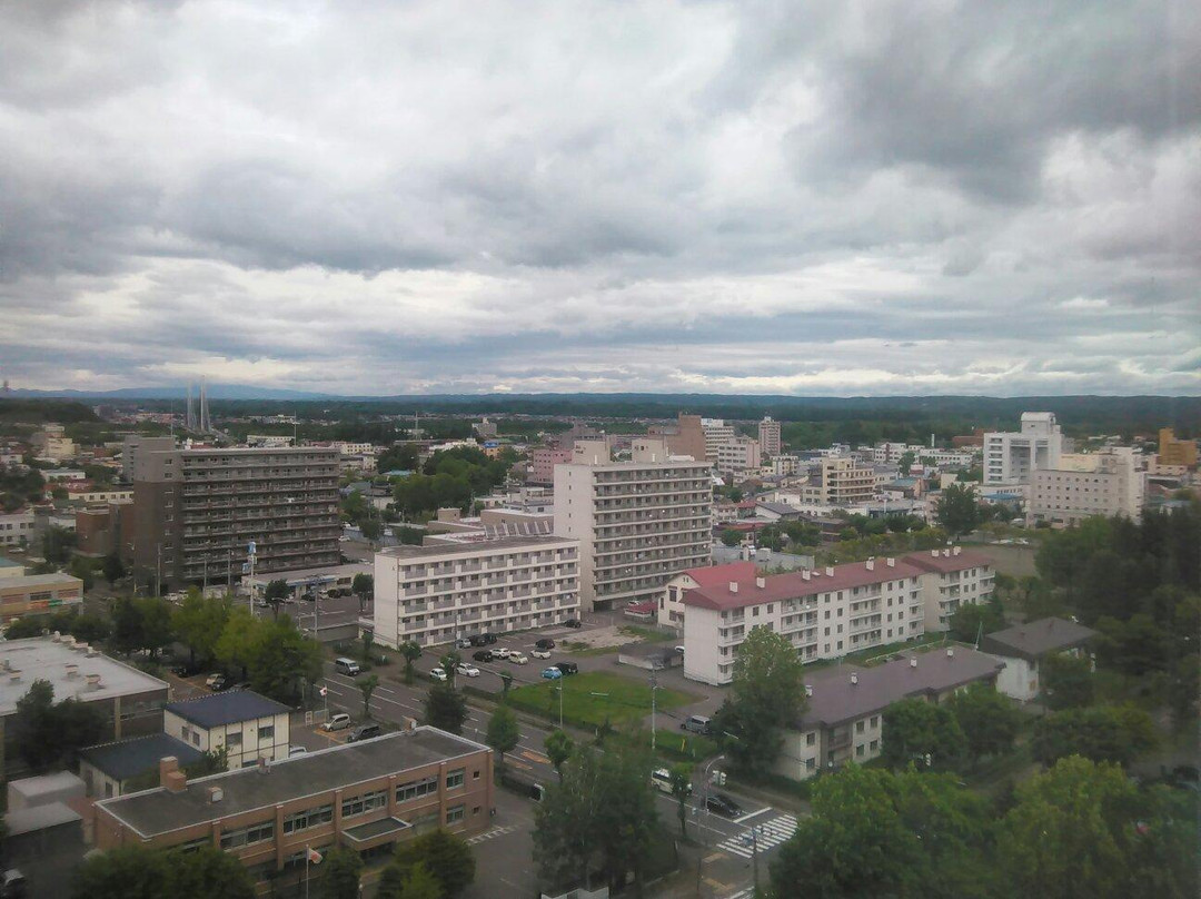 Obihiro City Hall-带广市必去景点