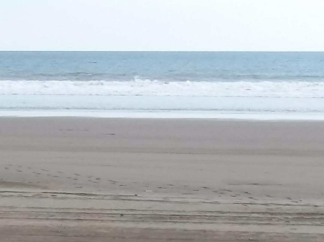 Farallon Butterflies景点图片