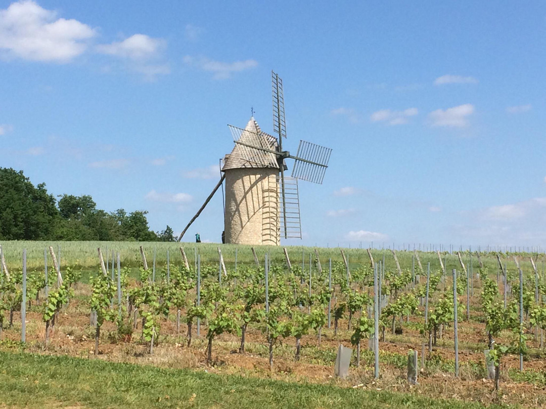 Moulin à vent du Mont Cussol景点图片