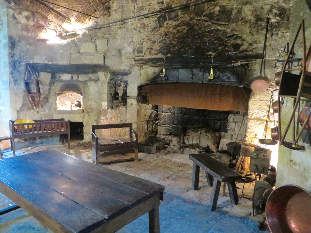 Chateau de Cassaigne景点图片