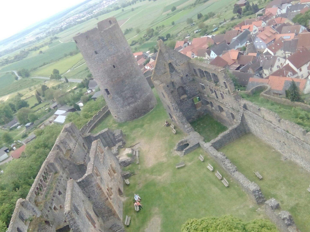 Münzenberg Castle景点图片