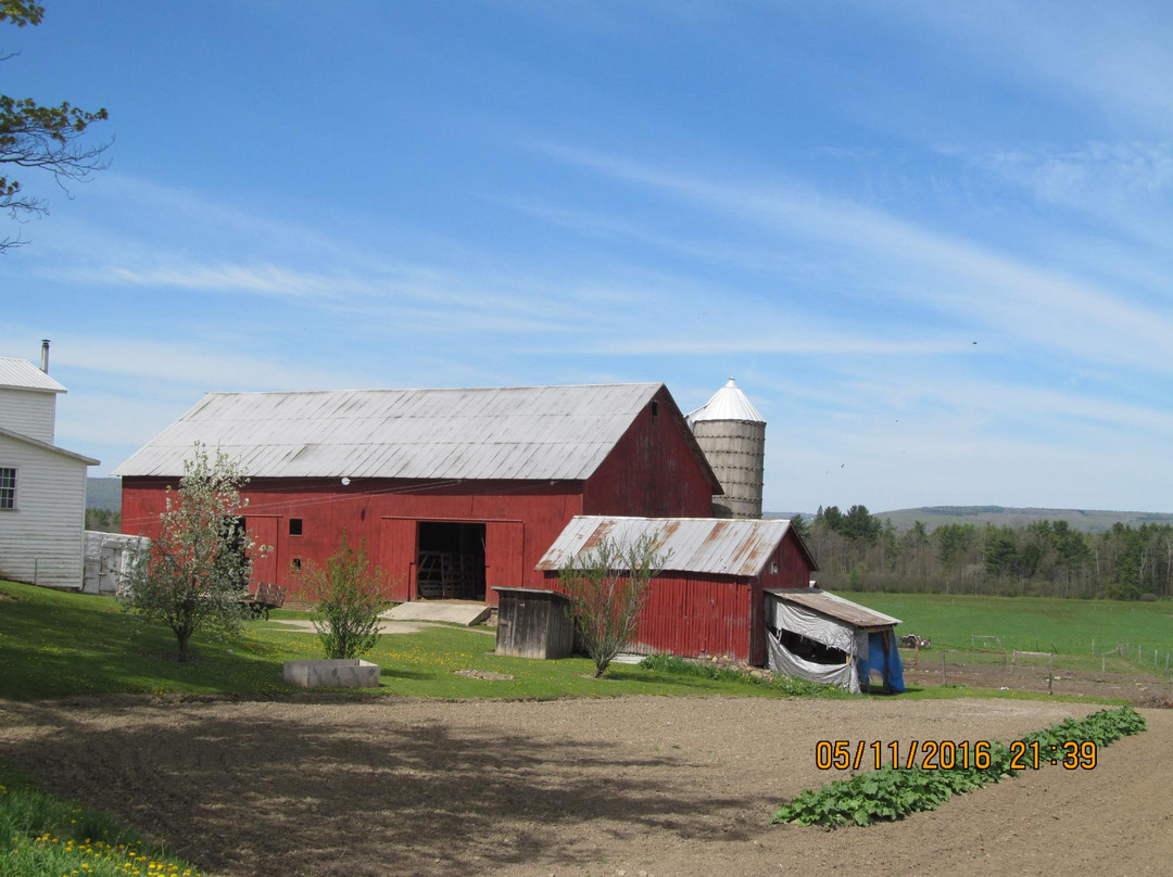 New York Amish Trail-Randolph必去景点