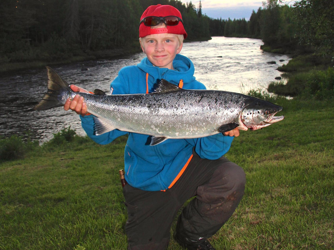 Salmon Fishing Naamisuvanto -  Petri Uusitalo景点图片