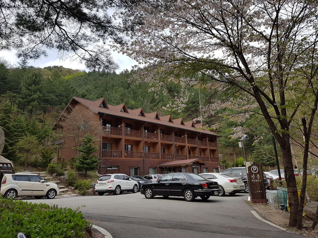 Saneum Natural Recreation Forest-杨平郡必去景点