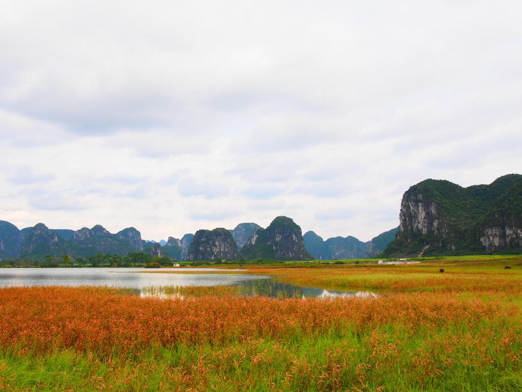 毛塘湿地公园-上林县必去景点
