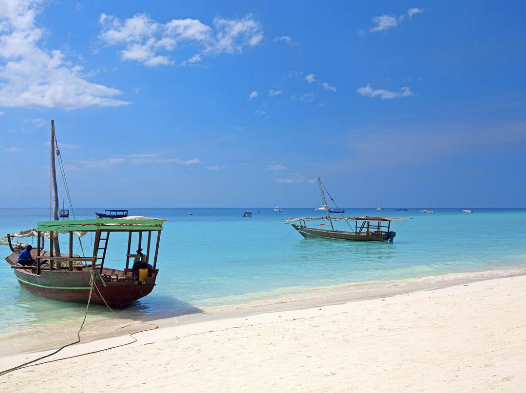 Tanzania Adventure景点图片