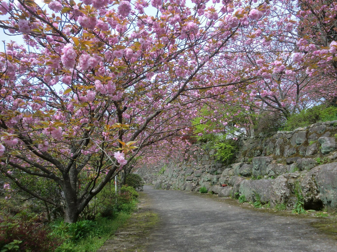 Isshinji Temple-大分市必去景点
