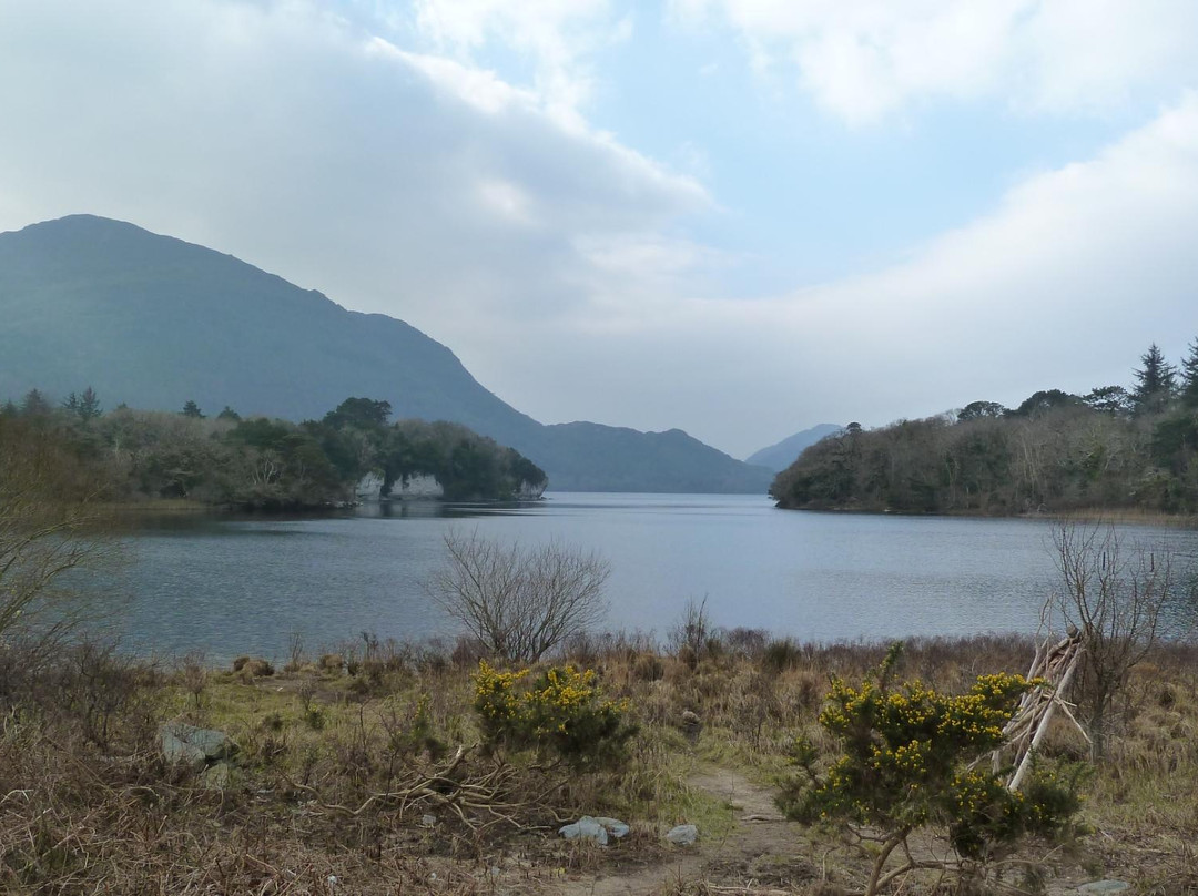 Killarney Shuttle Bus-基拉尼必去景点