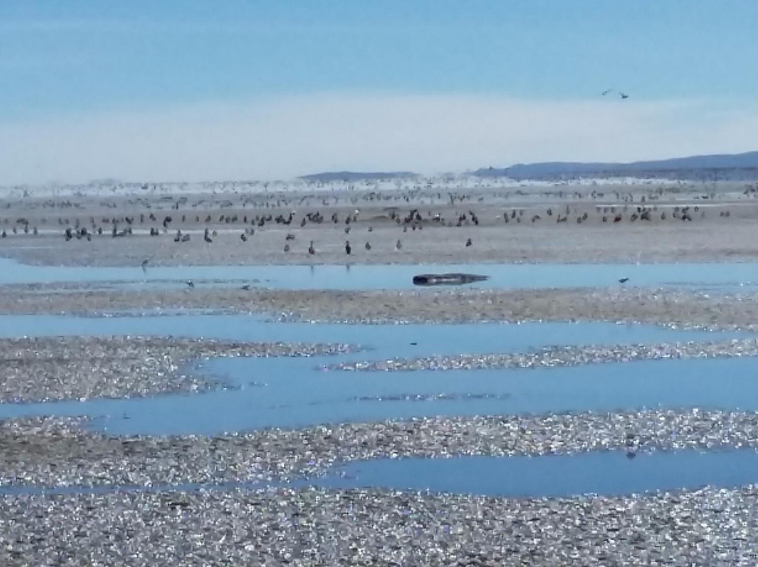 Monumento Natural Laguna de los Pozuelos景点图片