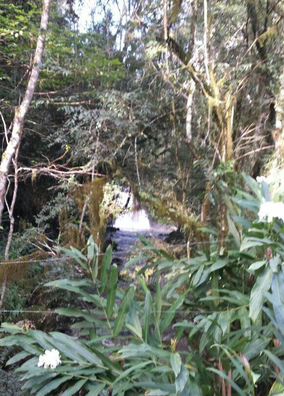 Panelão de São Roque-Nova Petropolis必去景点