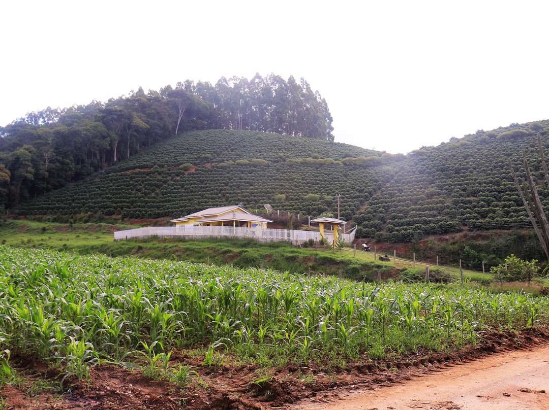 Sitio da Familia Brioschi景点图片