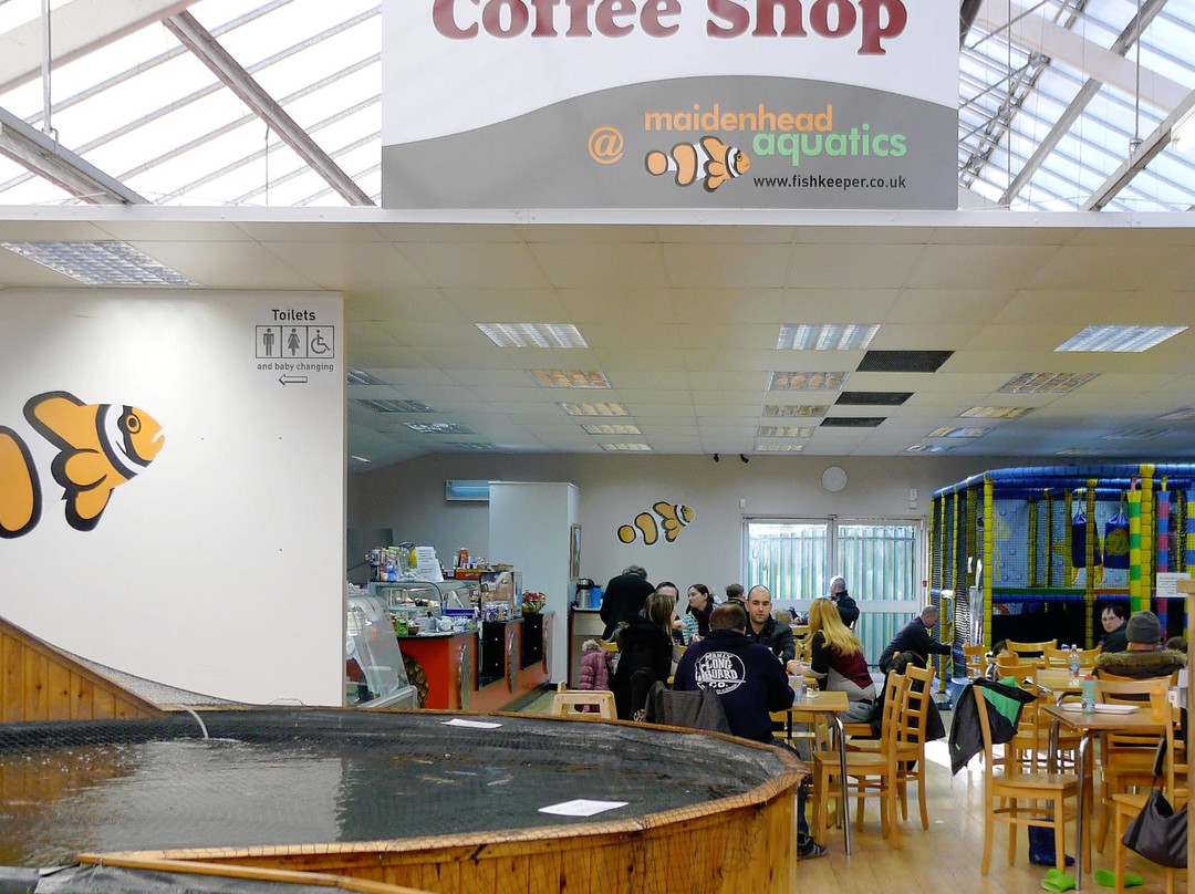 London Colney餐馆和美食-U4 Coffee