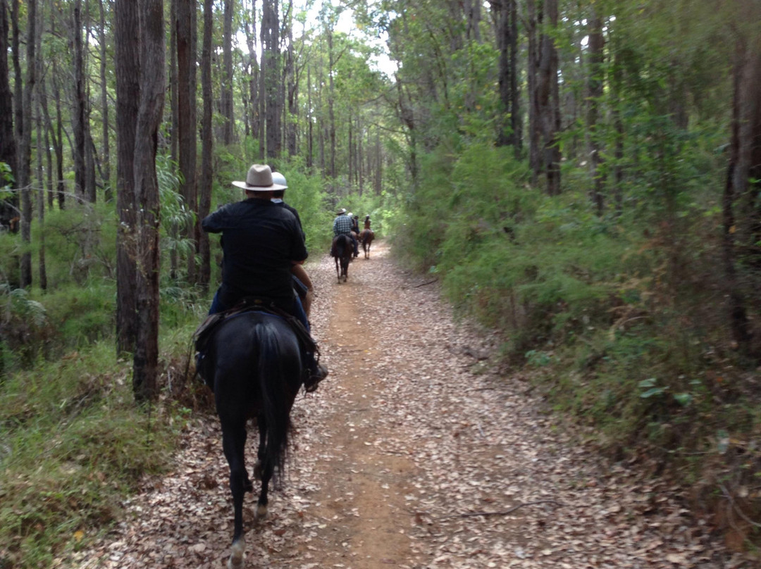 Cowboy Up Trail Rides-彭伯顿必去景点