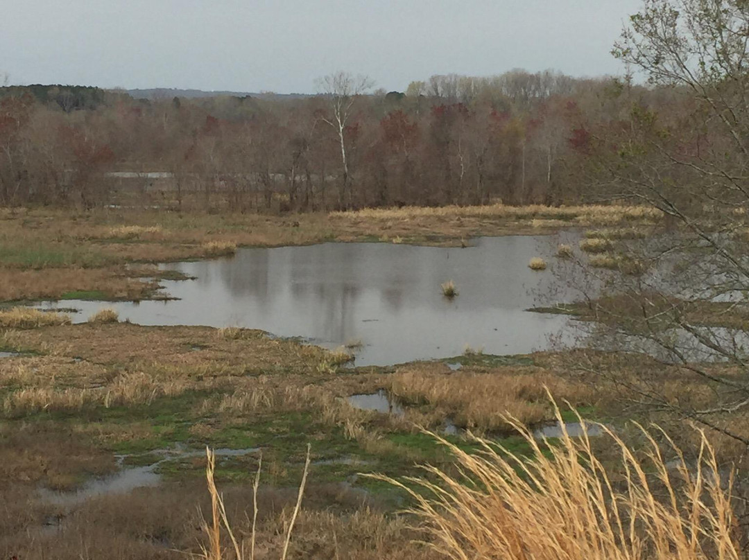 Oxbow Meadows Environmental Learning Center-哥伦布必去景点