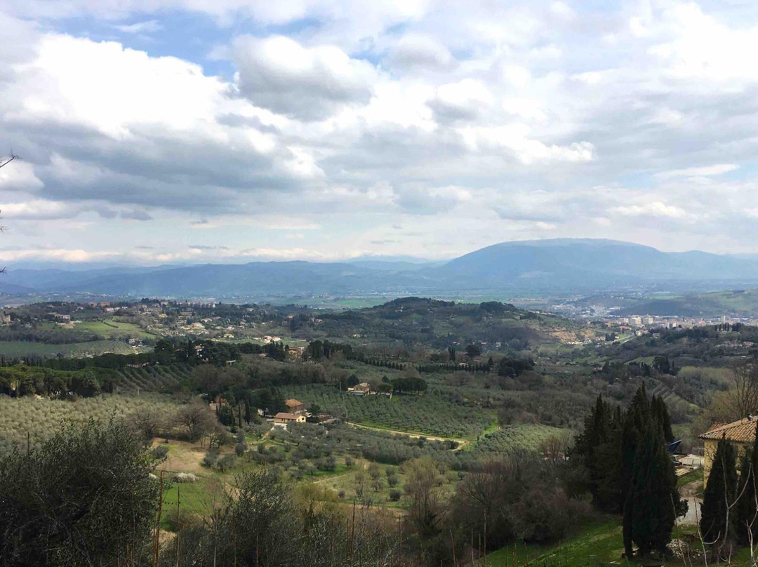 Orto Botanico dell'Universita di Perugia景点图片