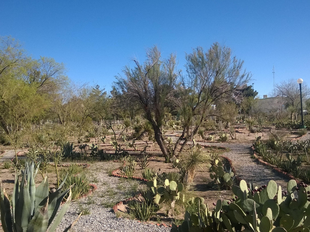 Parque Central-华瑞兹城必去景点