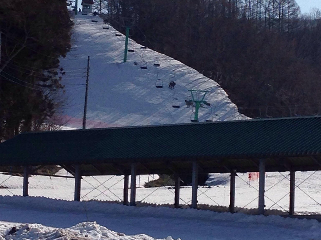 Fujiwara Snow&Spa Resort景点图片