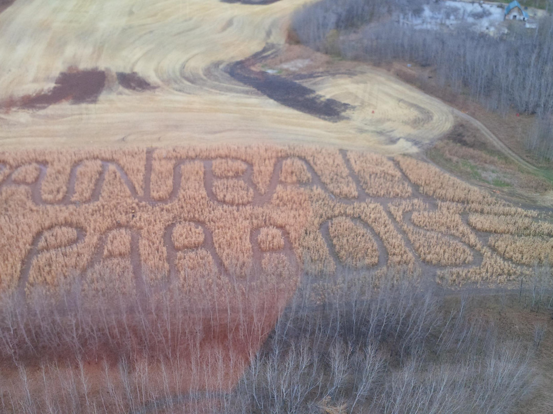 Paintball Paradise Prince Albert Inc.-Prince Albert必去景点