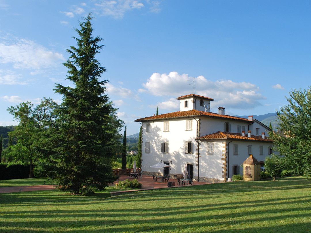 Villa il Cedro