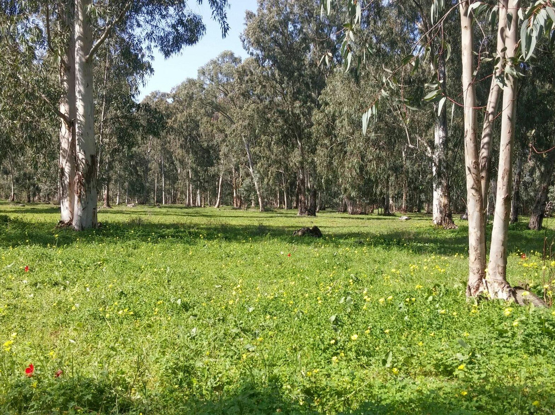 HaSharon Park-Hadera必去景点