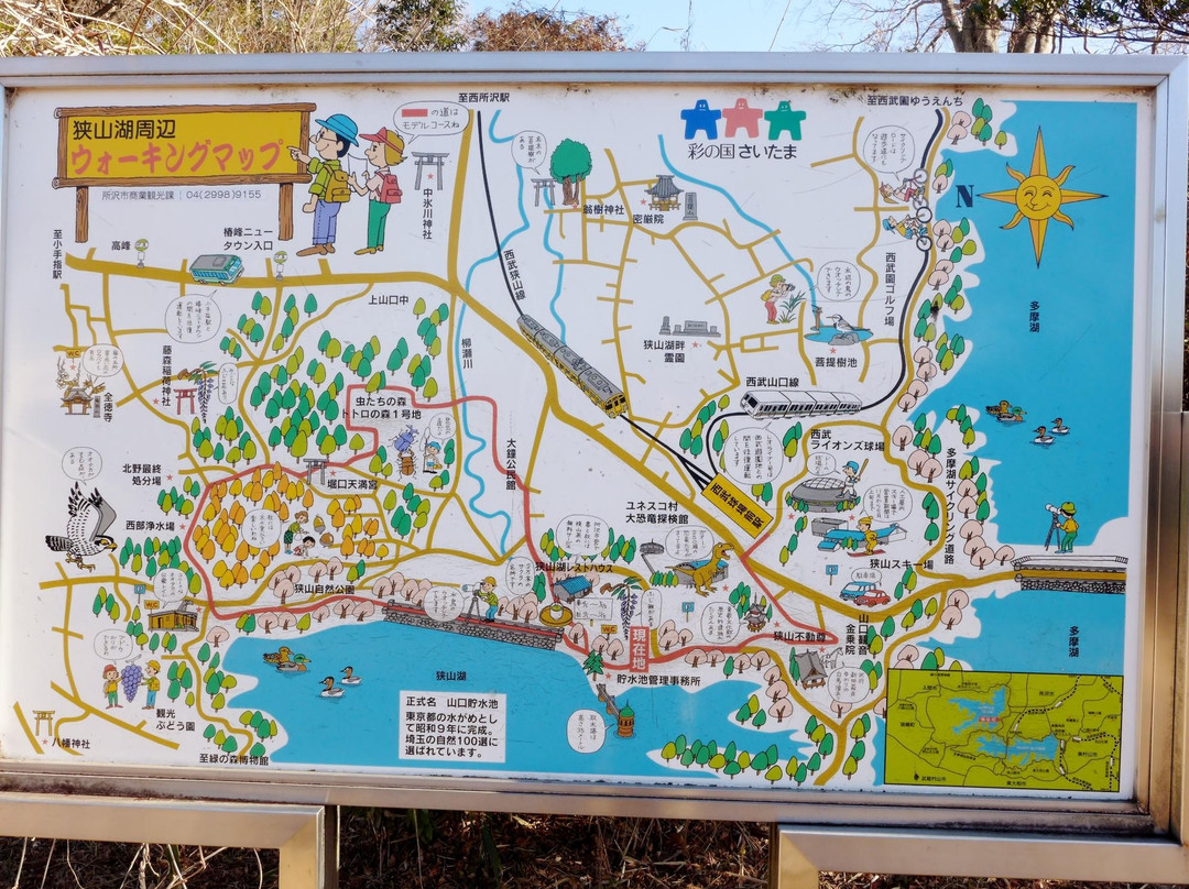 Sayama Prefectural Nature Park-所泽市必去景点