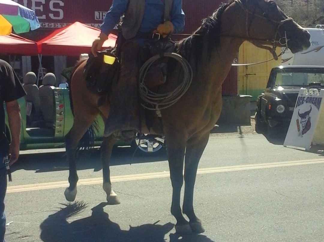 The Joint-Randsburg必去景点