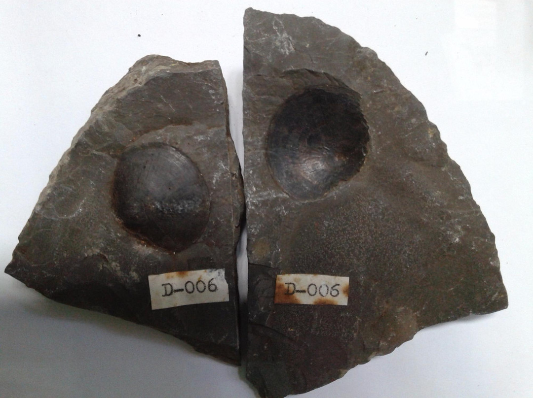 Campos Gerais Museum-Ponta Grossa必去景点