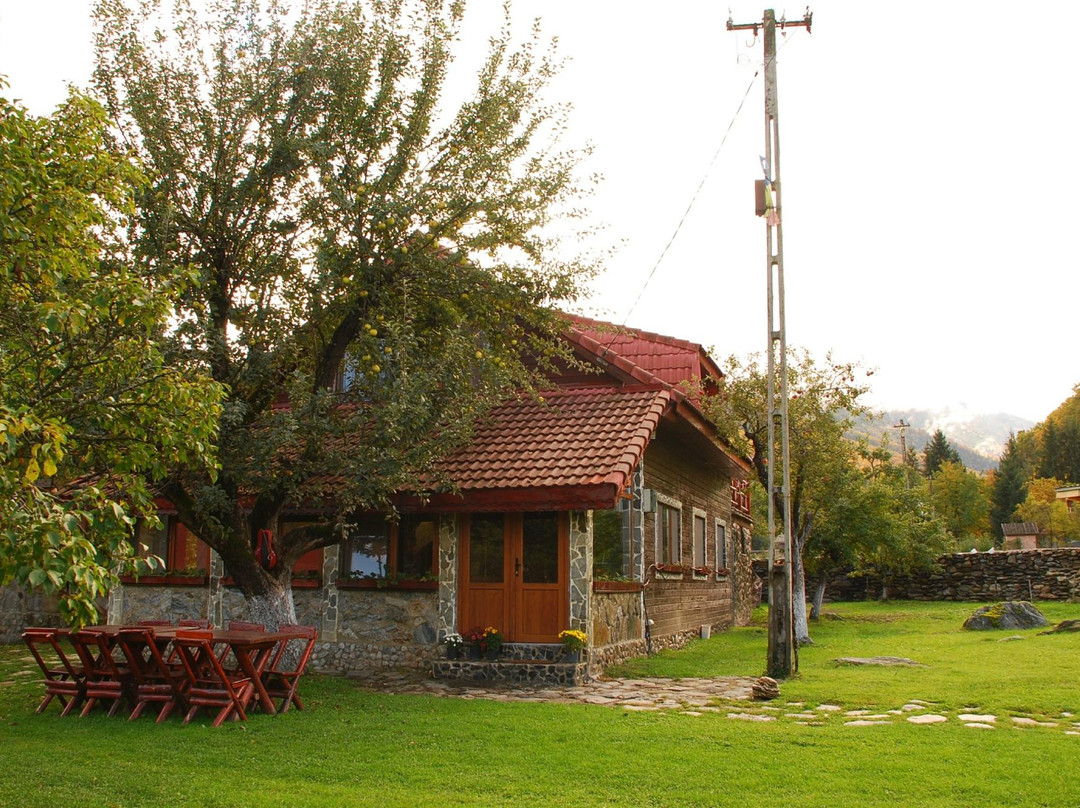 Casa Bunicului Vistisoara主图