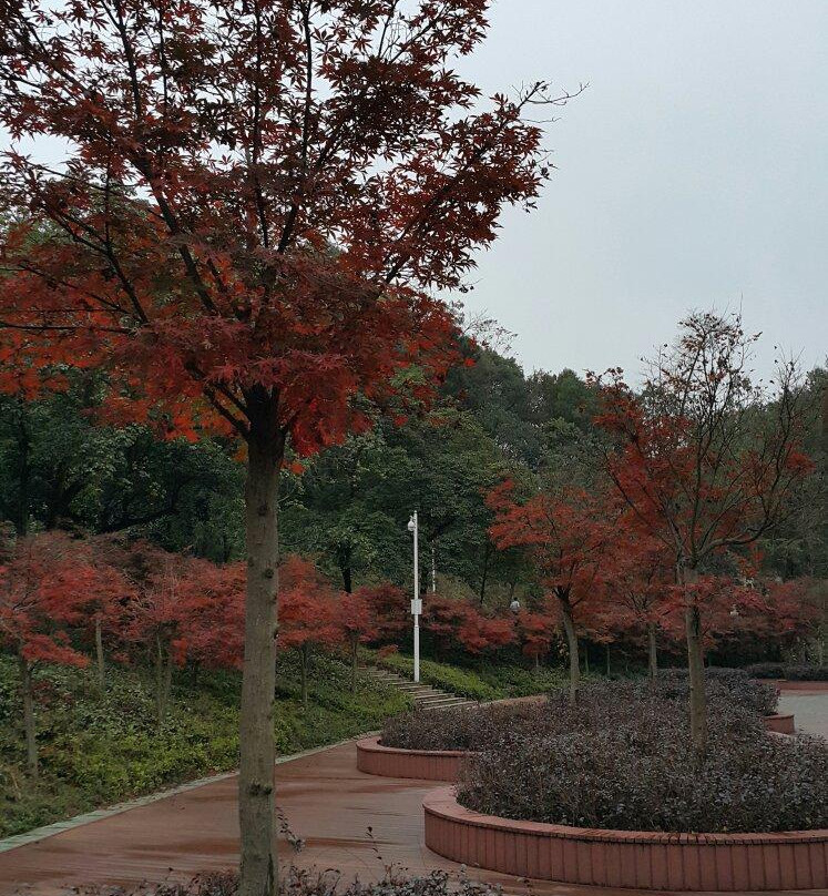 怀化迎丰公园-怀化市必去景点