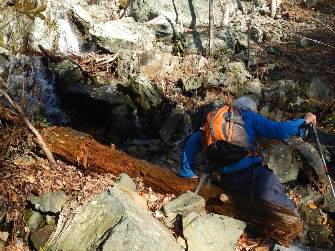 Little Devil's Stairs Trail-Sperryville必去景点