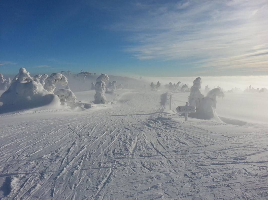 Sjusjoen Ski Center景点图片