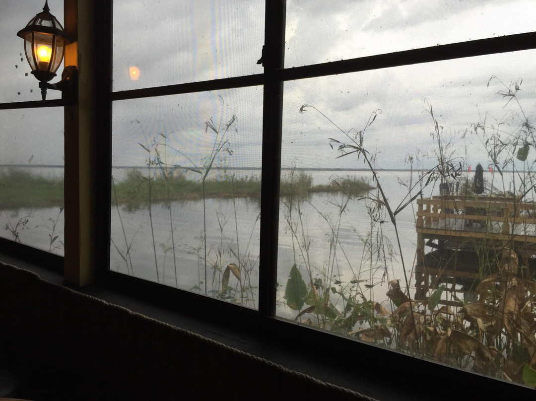 Lazy Gator Bar-Oviedo必去景点