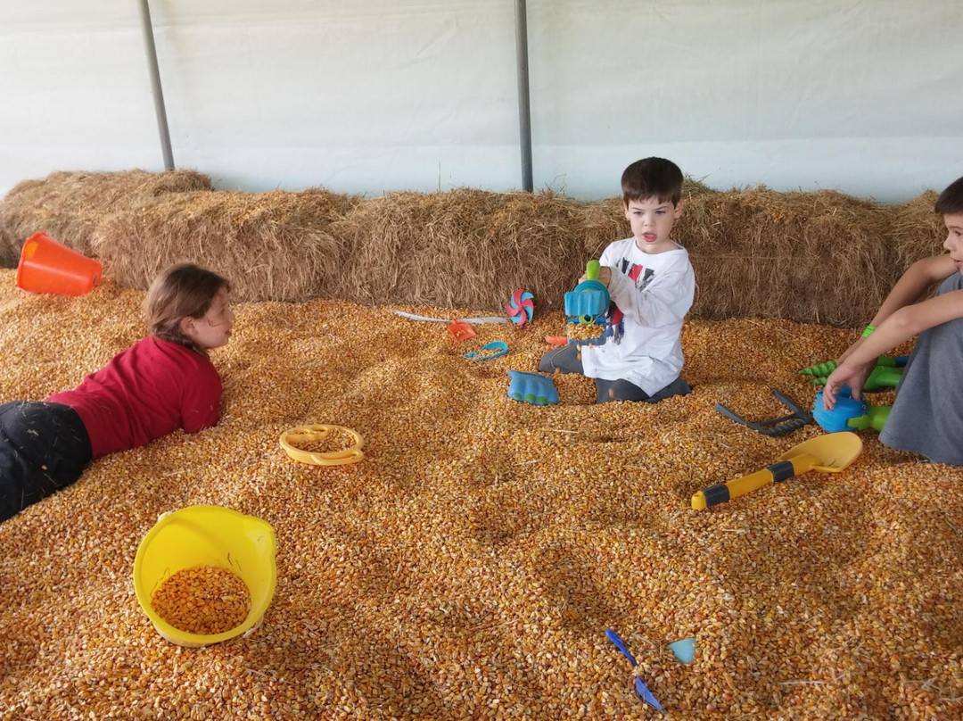 Hathaway Farm-Rutland必去景点