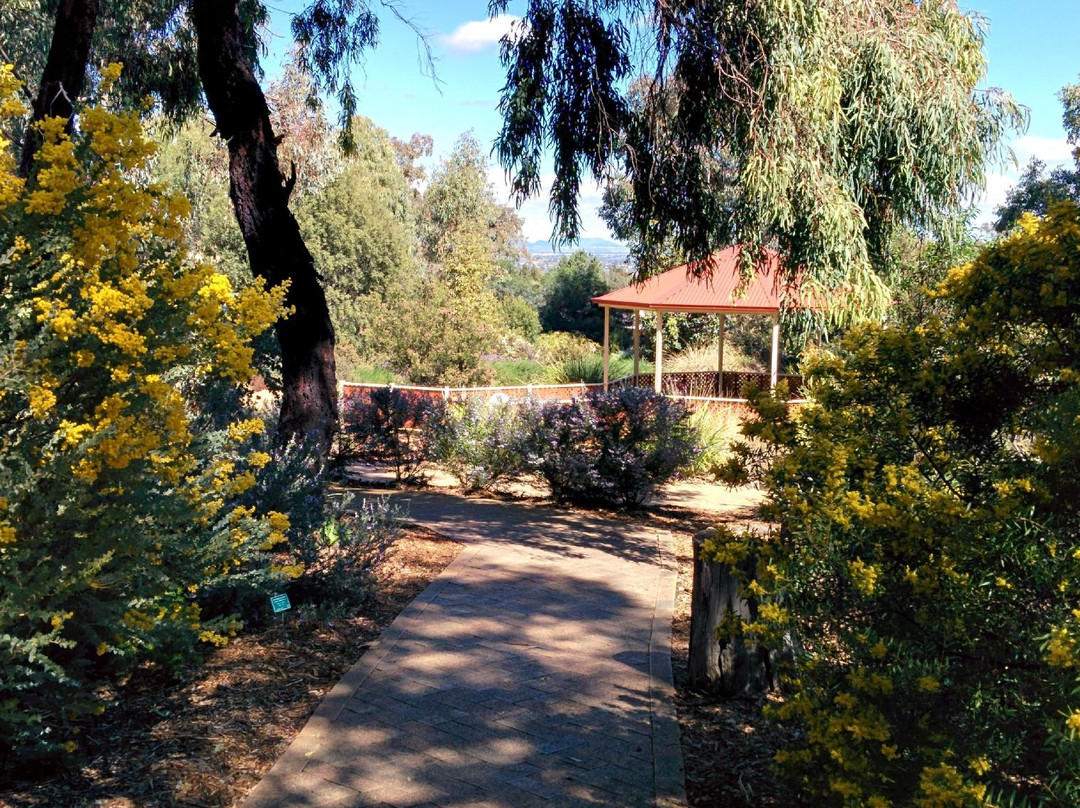 Tamworth Botanical Gardens景点图片