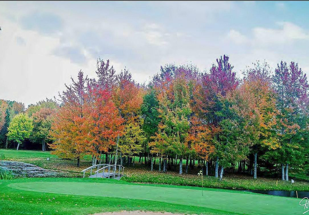 Paragon Golf & Country Club-Kingston必去景点