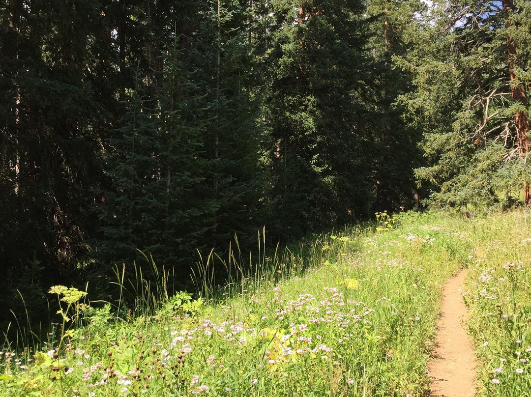 American Lake Trail-阿斯蓬必去景点
