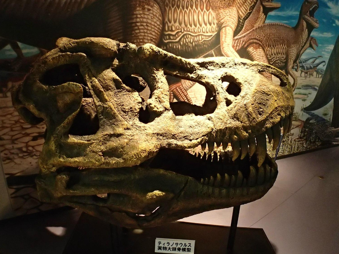 Hakusan Dinosaurs Park Shiramine-白山市必去景点