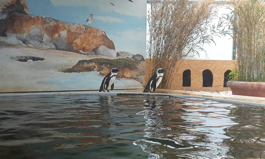 Servion旅游攻略图片