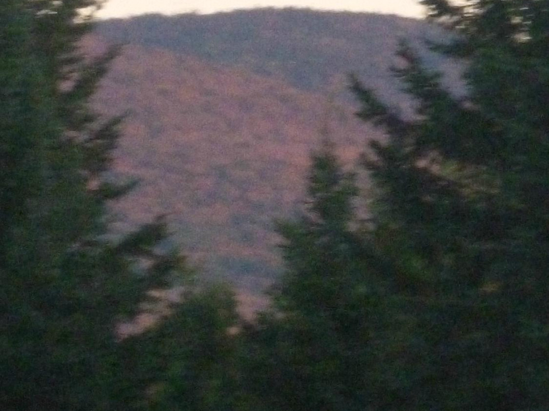 The Keazer  Farm Bed & Breakfast主图