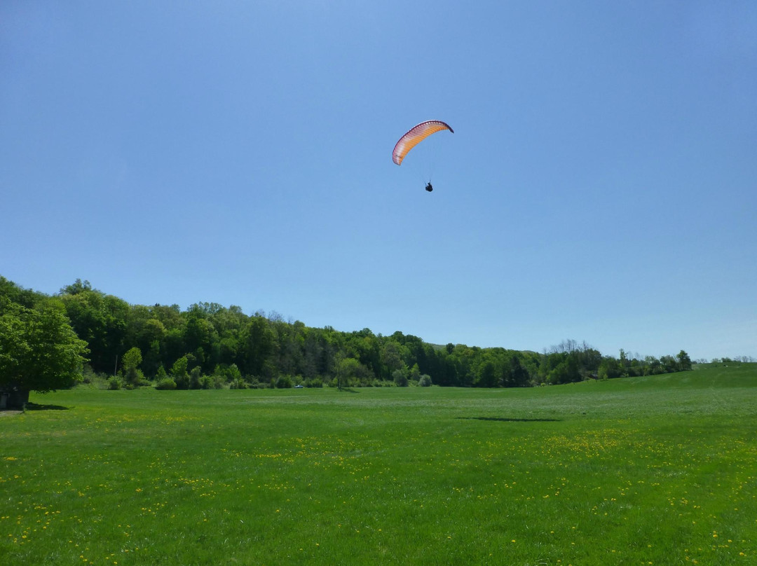 Let's Go Paragliding-Millerton必去景点