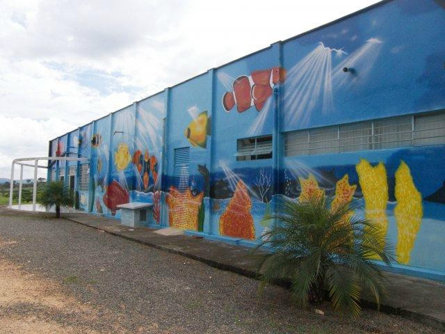 Aquário Municipal-Caconde必去景点