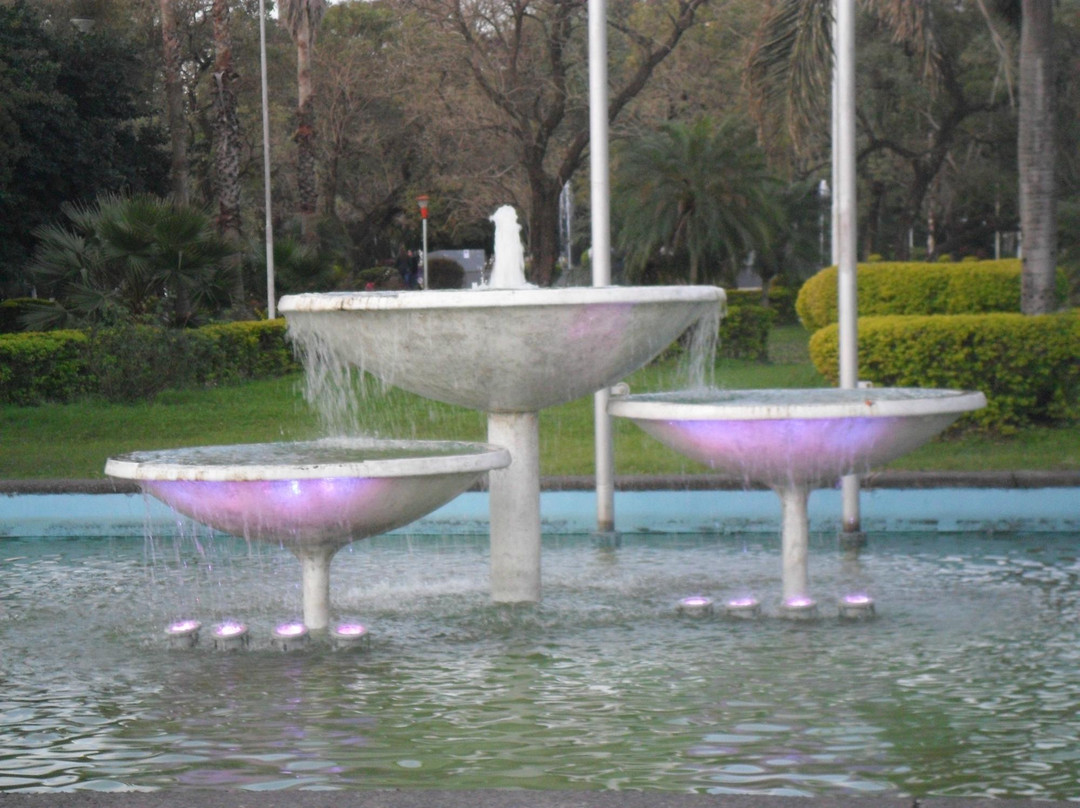 Plaza San Martin景点图片