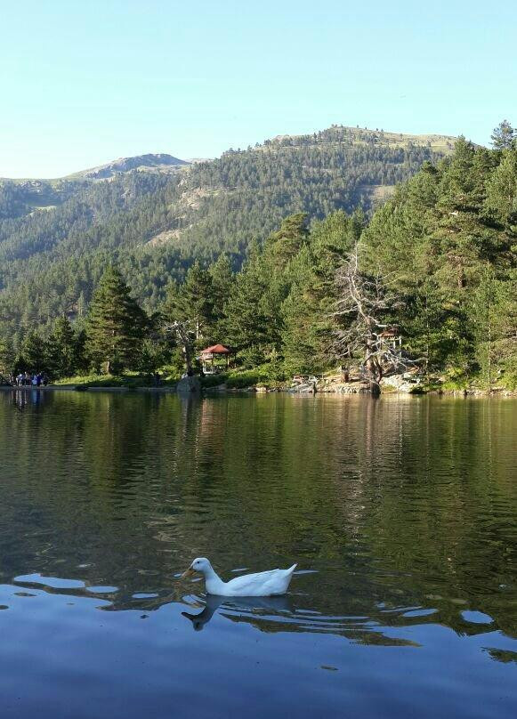 Limni Golu Tabiat Parki景点图片