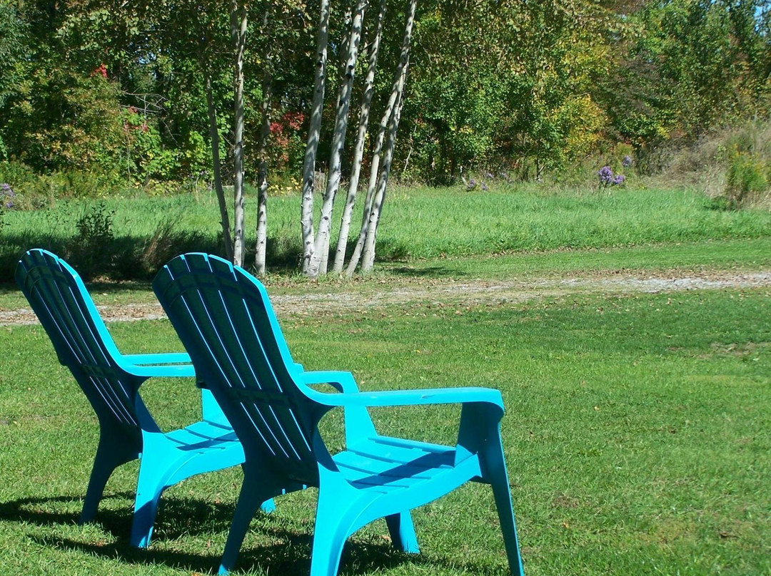 Stone Fountain Motel主图