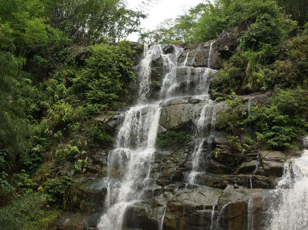 Namtok Than Thip Forest Park景点图片
