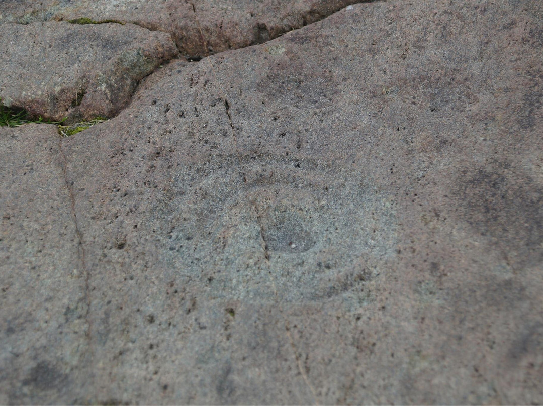 Achnabreck Cup and Ring Marks-Lochgilphead必去景点