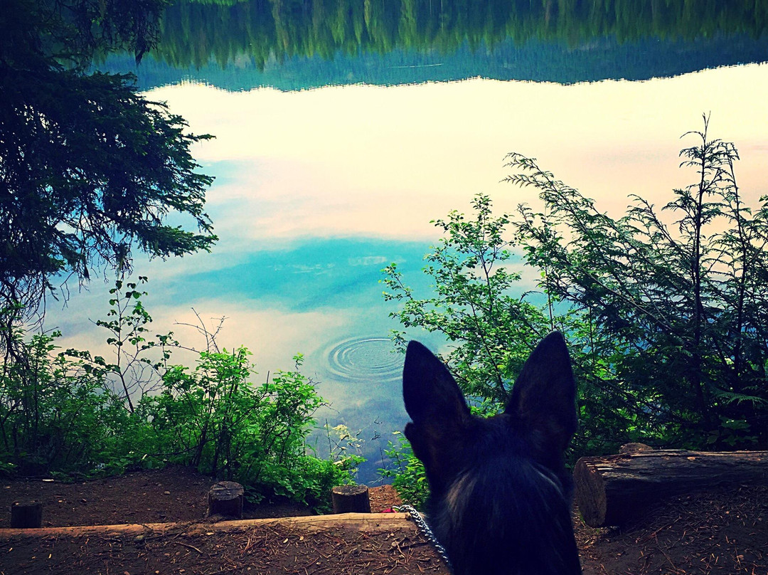 Round Lake State Park-Sagle必去景点