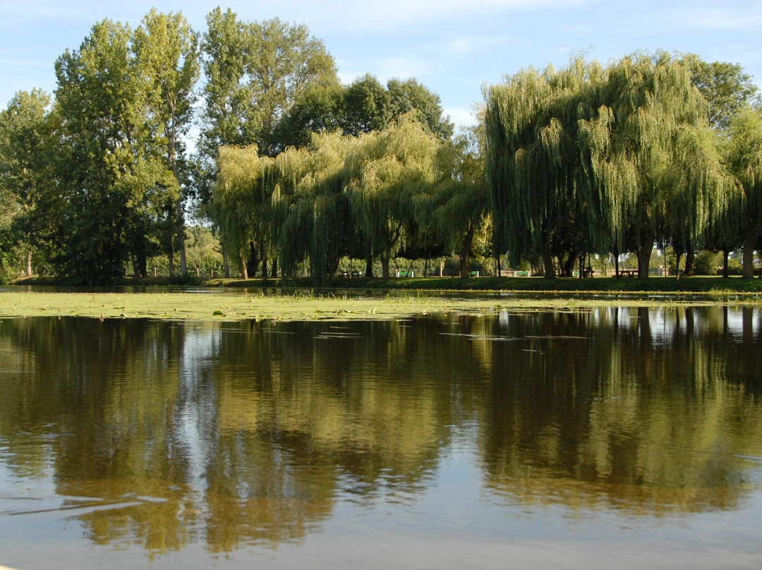 Bureau d'Information Touristique de Saint Savin sur Gartempe景点图片